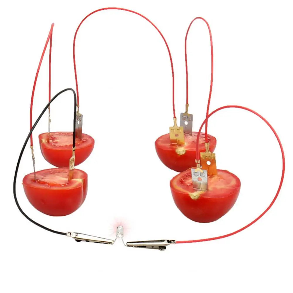 DIY Fruit Battery Kit