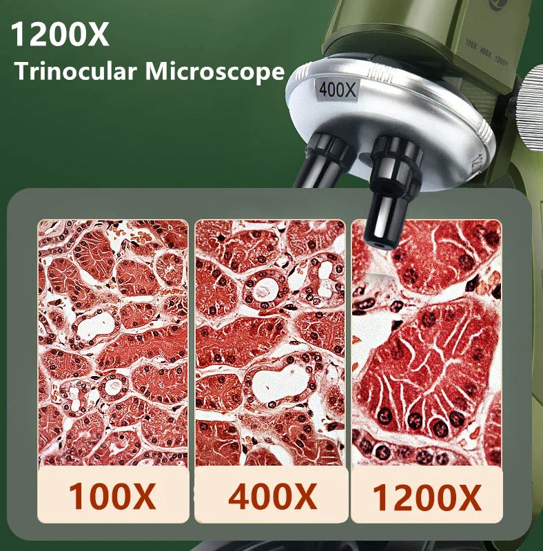 Microscope  - 100X-400X-1200X